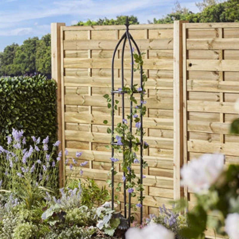 Image of Garden Gear Outdoor Metal Obelisk, Steel Garden Flower Cage Support, Climbing Plants, Clematis, Roses & Vegetables (2, 1.7M)