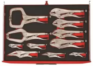 Image of Teng Tools TTEVG11 EVA 11 Piece Power Grip Plier Set