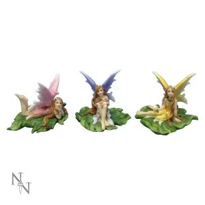 Image of Fairies of Melody Pack Of 3 Fairy Figures