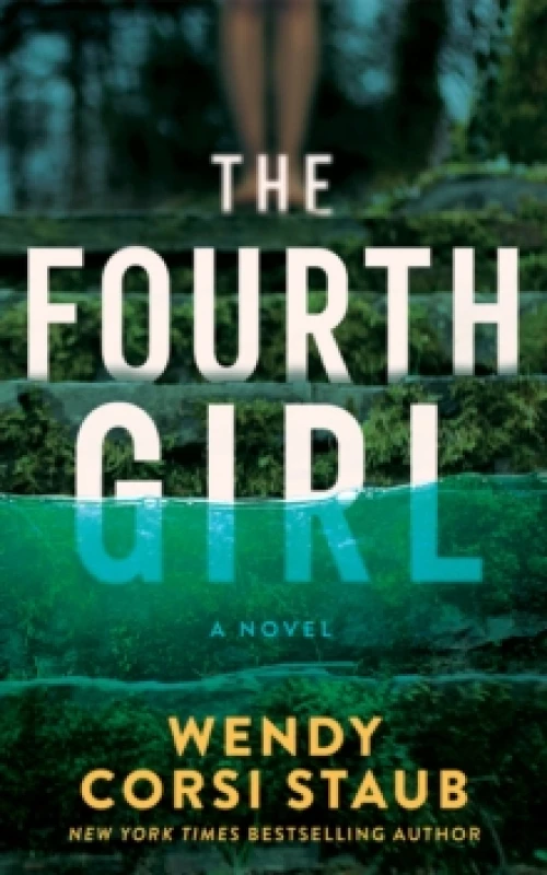 Image of The Fourth Girl : A Novel Paperback / softback