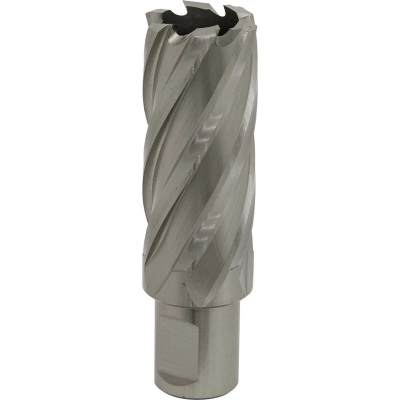 Image of Loops 25mm x 50mm Depth Rotabor Cutter - M2 Steel Annular Metal Core Drill 19mm Shank Metallics