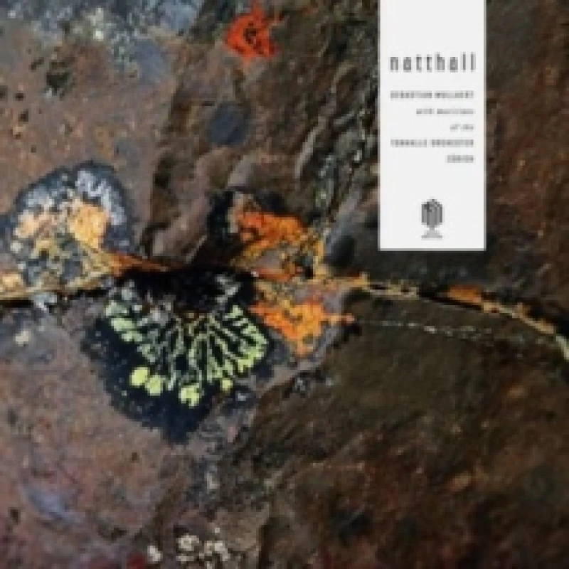 Image of Sebastian Mullaert: Natthall Vinyl