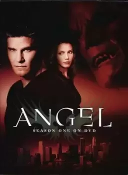 Image of Angel: Season 1 - DVD - Used