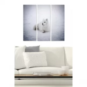 Image of MDF2126989 Multicolor Decorative MDF Painting (3 Pieces)