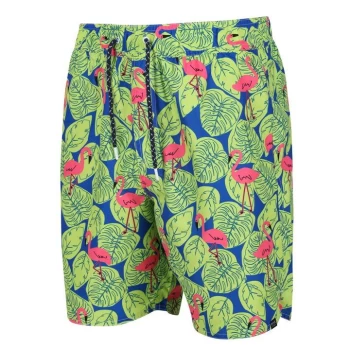 Image of Regatta Hamza Swim Short - BriKiwiFlmgo