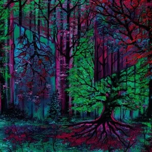 Image of Ashbringer - Absolution Vinyl