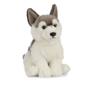 Image of Plush Husky Soft Toy