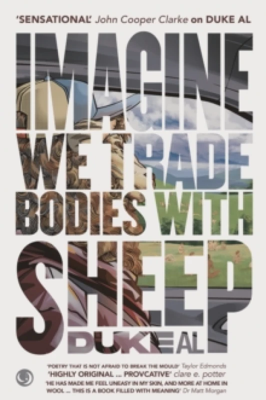 Image of Imagine we trade bodies with sheep Paperback / softback