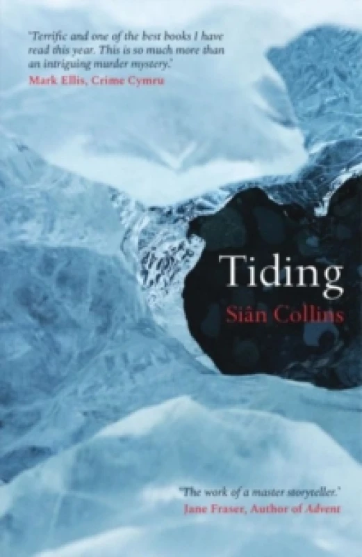 Image of Tiding Paperback / softback
