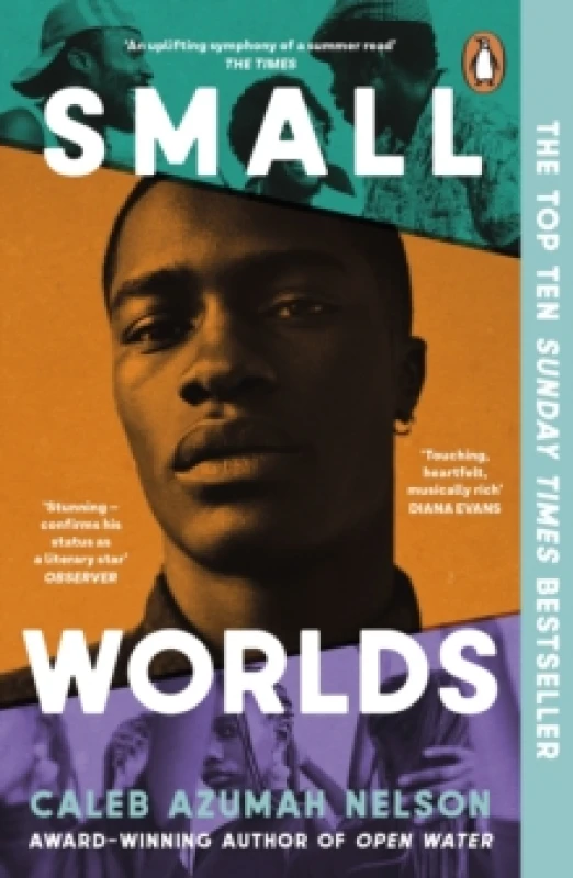 Image of Small Worlds Paperback / softback