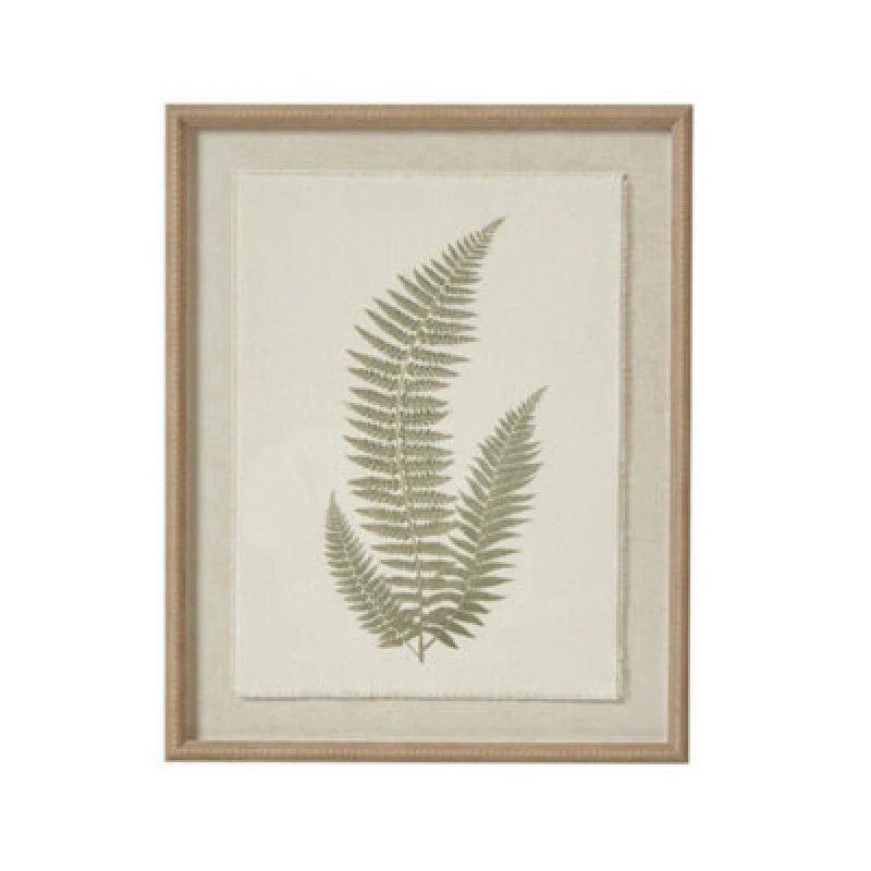 Image of Hill Interiors Fern Art On Texture-Torn Paper With Beaded Frame - Glass - L2 X W40 X H50 Cm - White