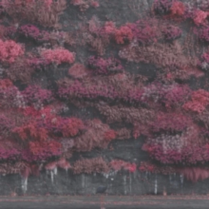 Image of Even in Arcadia Vinyl