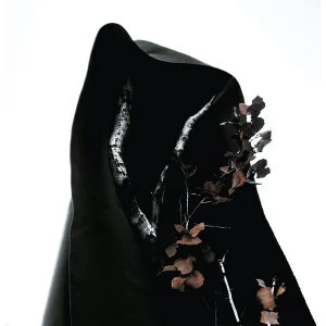 Image of Process Of Guilt - Black Earth Vinyl