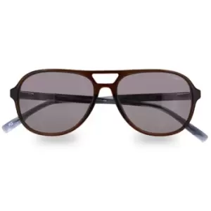 Image of Hackett 3341 S/gls 99 - Brown