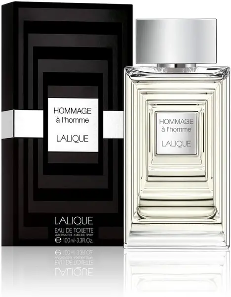 Image of Hommage A LHomme Eau de Toilette For Him 100ml