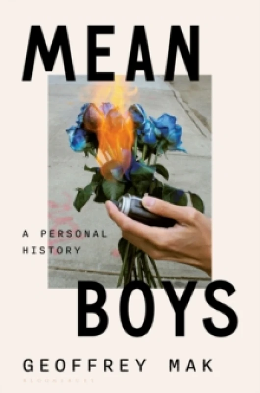Image of Mean Boys : A Personal History Hardback