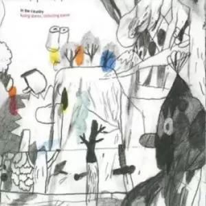 Image of In The Country - Losing Stones, Collecting Bones CD Album - Used