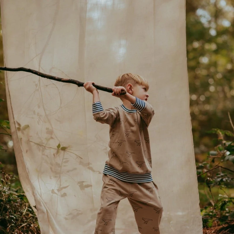 Image of Lilly + Sid Dino Print Sweatshirt in Grey Size: 6-12 m Grey Unisex 6-12 m