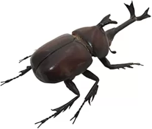 Image of Beetle Fridge Magnets