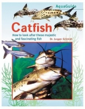 Image of Catfish by Schmidt Hardback