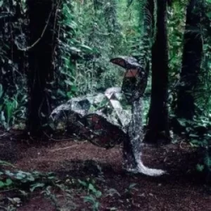 Image of Donkey by CSS Vinyl Album