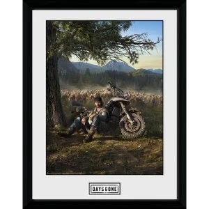 Image of Days Gone Collector Print