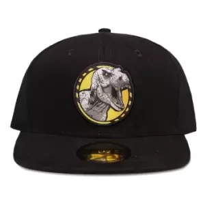Image of Jurassic Park Snapback Cap T-Rex