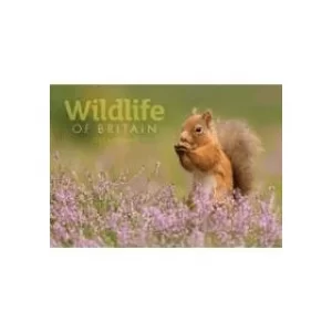 Image of Wildlife of Britain A4 2022 Calendar