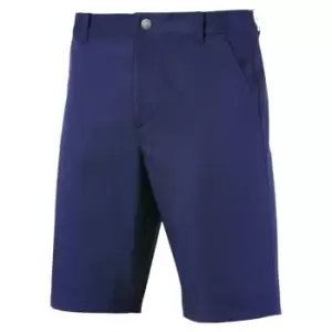 Image of Puma Tech Shorts - Blue