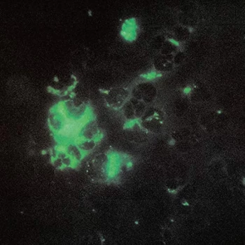 Image of Tecture - Anomalous Materials Vinyl