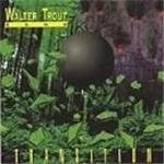 Image of Walter Trout Band - Transition
