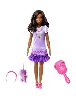 Image of Barbie My First Barbie &ldquo;Brooklyn&rdquo; Soft Body Doll and Accessories, One Colour