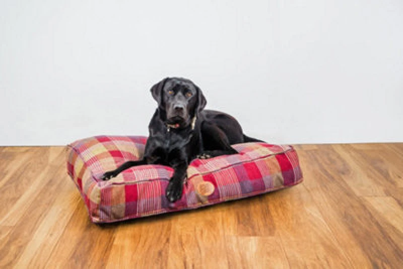 Image of Snug & Cosy Pets Snug And Cosy Pets Highland Mulberry Dog Bed Bed Bedding Lounger Cushion Medium 90Cm X 60Cm