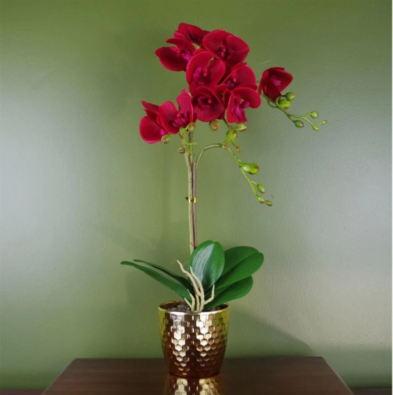 Image of Leaf 50cm Phalaenopsis Orchid Artificial - Dark Red - Gold Pot Red