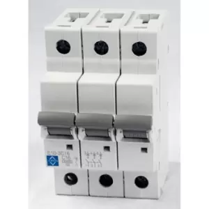 Image of Lewden E10-3C63 Tp Type C 63A 10KA Mcb