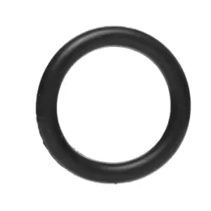 Image of CORTECO Intake Manifold Gasket 026236H Inlet Manifold Gasket,Gasket, intake manifold FORD,PEUGEOT,CITROEN,Fiesta Mk6 Schragheck (JA8, JR8)