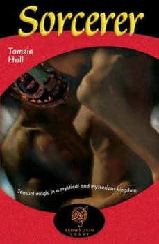 Image of The Sorcerer by Tamzin Hall Book