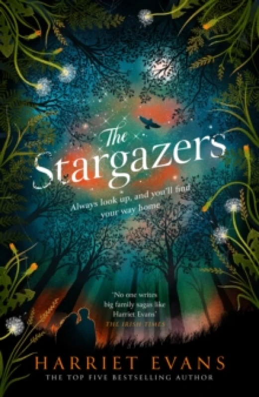 Image of The Stargazers : A captivating, magical love story with a breathtaking twist Hardback