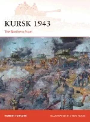 Image of kursk 1943 the northern front