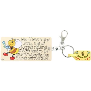 Image of Pack of 6 Glow Worm Key Rings