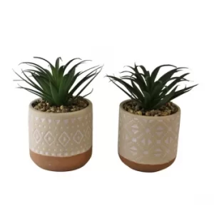 Image of Set of 2 Faux Succulents In Ceramic Pots