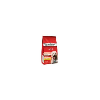 Image of Grange Dog Adult Chicken & Rice - 12kg+ - 410897 - Arden