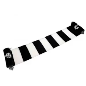 Image of Tottenham Hotspur FC Bar Scarf (One Size) (Blue/White)