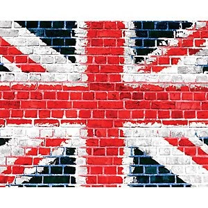 Image of ohpopsi Union Brick Wall Mural Multi 19.6m XL