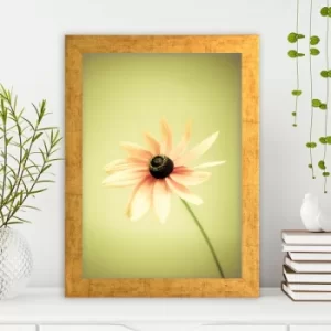 Image of AC346430354 Multicolor Decorative Framed MDF Painting