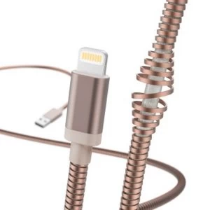 Image of CHAR-DAT-CAB.LIGH.1.5M MET RG