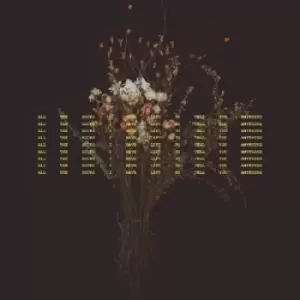 Image of All the Hours I Have Left to Tell You Anything by Sarah MacDougall CD Album