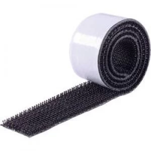 Image of Hook and loop tape stick on Mushroom hooks L x W 500 mm x 25 mm