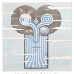 Image of The Chameleons - What Does Anything Mean? Basically Picture Disc Vinyl