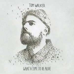 Image of Tom Walker - What A Time To Be Alive Vinyl